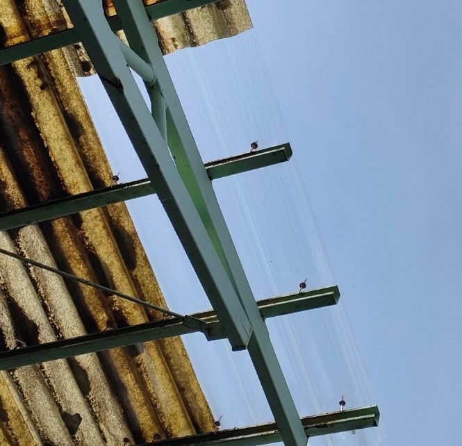 工場庇の補修工事が完了　エポライト